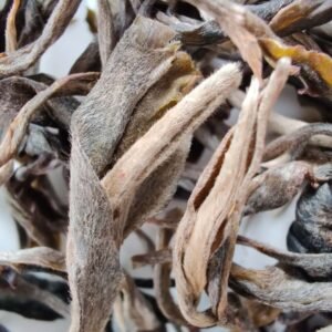 import placeholder for 687